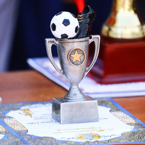Championship Among Vetersans - Photo-Report
