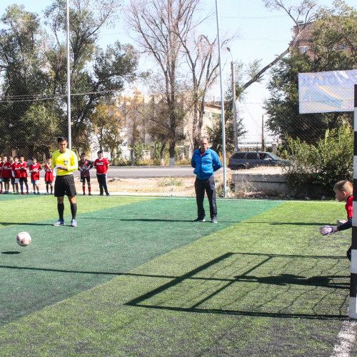 Taraz Hosted Ball Competition