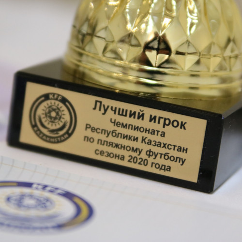 Золотая поступь павлодарского «Армана»