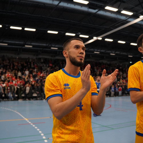 Denmark vs Kazakhstan