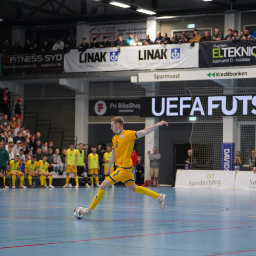 Denmark vs Kazakhstan